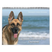 De muurkalender van de Hond van de Duitse herder Kalender (Hoes)