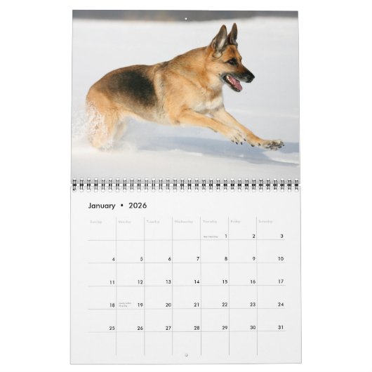 De muurkalender van de Hond van de Duitse herder Kalender (Jan 2026)