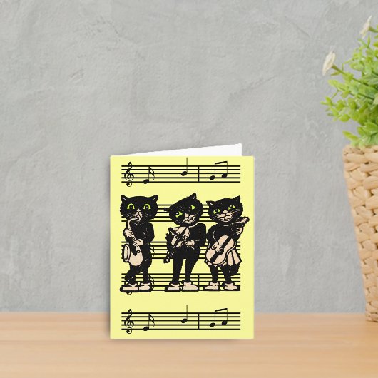 De muzikale Zwarte Kaart van de Nota van Katten