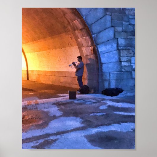 De muzikant in Riverside Park Summer in NYC Poster (Voorkant)