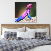 De Mwanza vlakte Agama op rots Canvas Afdruk (Insitu (Slaapkamer))