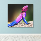 De Mwanza vlakte Agama op rots Canvas Afdruk (Insitu (Houten vloer))