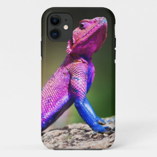 De Mwanza vlakte Agama op rots Case-Mate iPhone Case