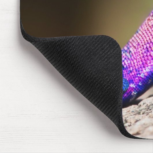 De Mwanza vlakte Agama op rots Muismat (Hoek)