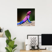 De Mwanza vlakte Agama op rots Poster (Thuiskantoor)