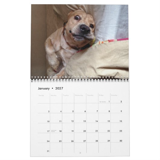 De "My Dog Dirk"-agenda van 2013 Kalender (Jan 2027)