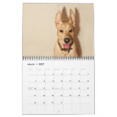 De "My Dog Dirk"-agenda van 2013 Kalender (Mar 2027)