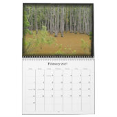 De mysterie van Louisiana 2011 Kalender (Feb 2027)