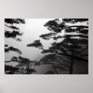 De mystieke bomen - Afdrukken Poster