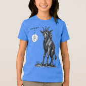 De mythe-hybride van Leonard Tri-Blend Shirt (Voorkant)