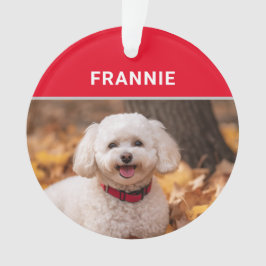 De naam en de foto van Bichon Frise Dog Ornament