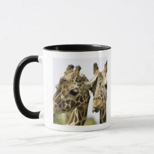 De naam giraffe is afgeleid van het Arabische woor Mok