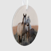 De naam van het wild Family Horse Ornament (voorkant)