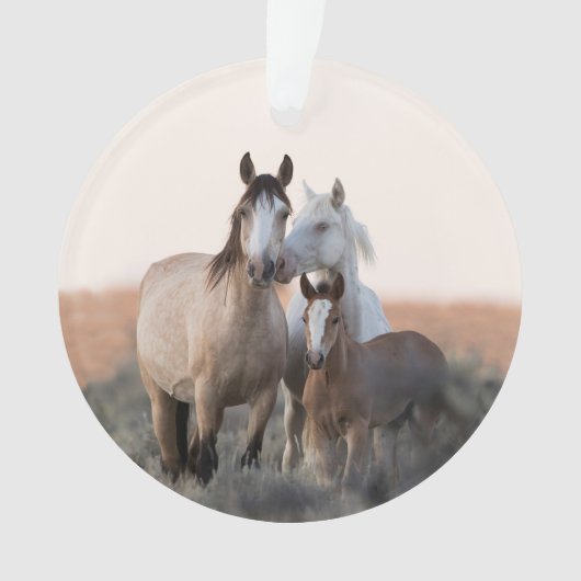 De naam van het wild Family Horse Ornament (voorkant)