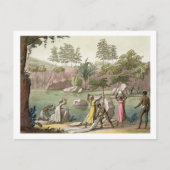 De nabij San Benedetto, Madagaskar, bord 81, Briefkaart (Voorkant)