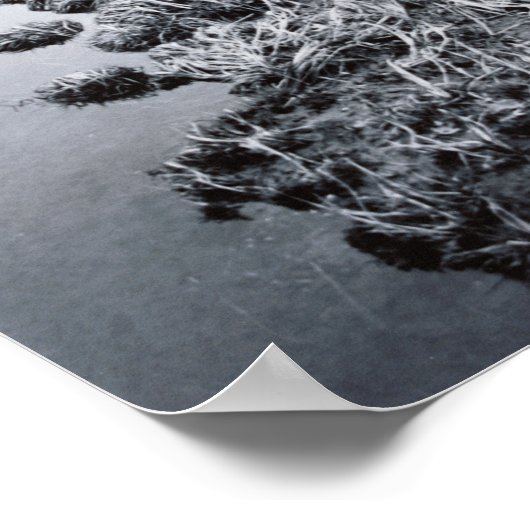 De nabijheid van het bos poster (Hoek)