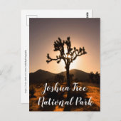 De nacht begint bij Joshua Tree Briefkaart (Voorkant / Achterkant)
