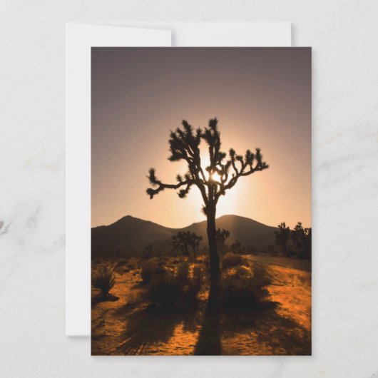 De nacht begint bij Joshua Tree Kaart (Voorkant)