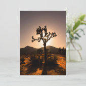 De nacht begint bij Joshua Tree Kaart (Staand voorkant)