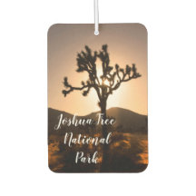 De nacht begint bij Joshua Tree