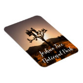 De nacht begint bij Joshua Tree Magneet (Rechterzijde)