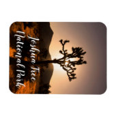 De nacht begint bij Joshua Tree Magneet (Horizontaal)