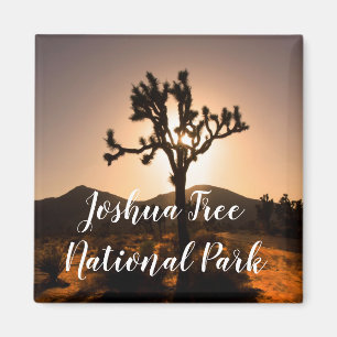 De nacht begint bij Joshua Tree Magnet