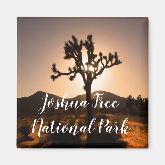 De nacht begint bij Joshua Tree Magnet (Voorkant)