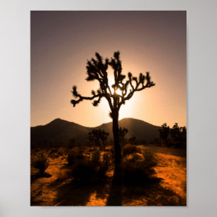 De nacht begint bij Joshua Tree Poster