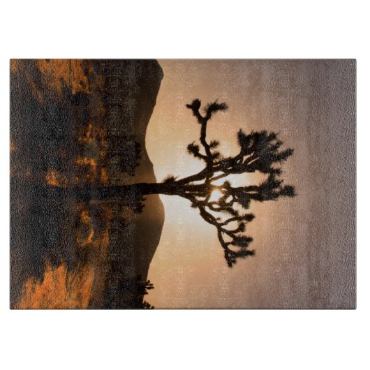 De nacht begint bij Joshua Tree Snijplank (Voorkant)
