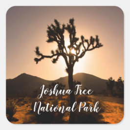 De nacht begint bij Joshua Tree Vierkante Sticker