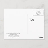 De Nacht van Lit van de maan Briefkaart (Achterkant)