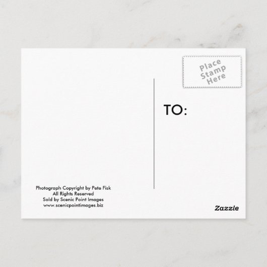 De Nacht van Lit van de maan Briefkaart (Achterkant)