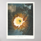 De nachtblaaskraan (1799-1807) poster (Voorkant)