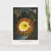 De Nachtbloeiende Cereus — Moderne Botanische Reïn