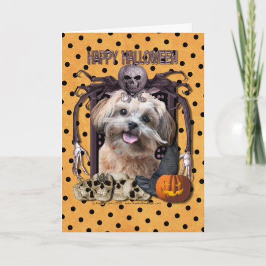 De Nachtmerrie van Halloween - ShihPoo - Maggie Kaart (Voorkant)