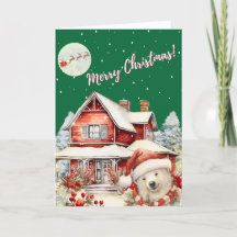 "De nachtvlucht van de Kerstman"