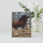 De nagelveulen van Clydesdale het lopen Briefkaart (Staand voorkant)