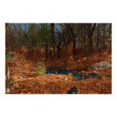 De namiddag van de jaarlijkse foto foto afdruk (Voorkant)