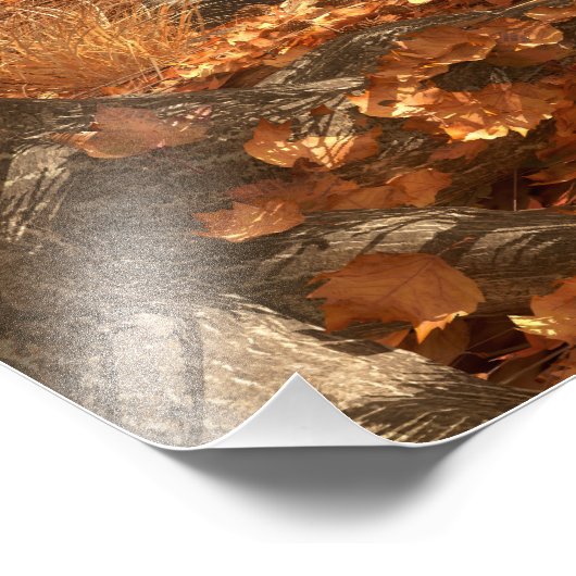 De namiddag van de jaarlijkse foto foto afdruk (Hoek)