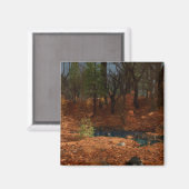 De namiddag van het Jaar Magnet (Voorkant / Achterkant)