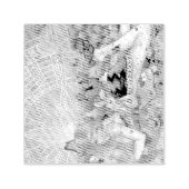 De namiddag  zelfinktende stempel (Design)