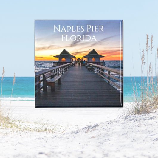 De Napels Pier in Florida nieuwigheid Magneet