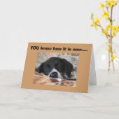 DE NAPS ZIJN EEN BELANGRIJKE TIJD VAN DAG KAART (Gele Bloem)