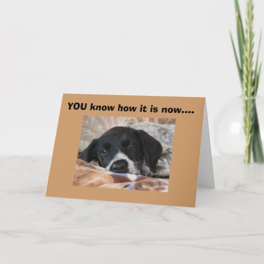 DE NAPS ZIJN EEN BELANGRIJKE TIJD VAN DAG KAART (Voorkant)