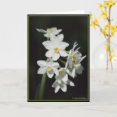 De Narcissen van Paperwhite Kaart (Gele Bloem)