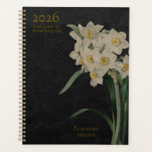 De Narcissus Tazetta: Paperwhite Perfectie