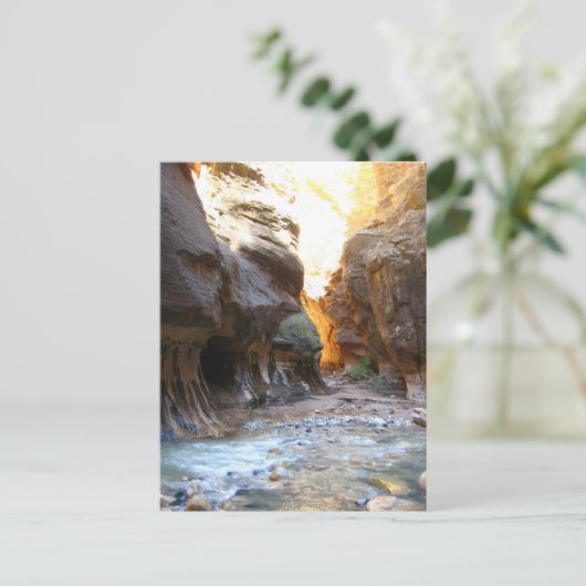 De Narrows Briefkaart (Staand voorkant)