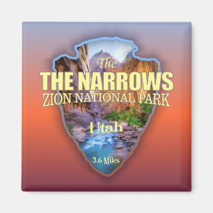 De Narrows (pijlpunt) Magneet