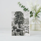 De natie is in oorlog en moet Mannen hebben Briefkaart (Staand voorkant)